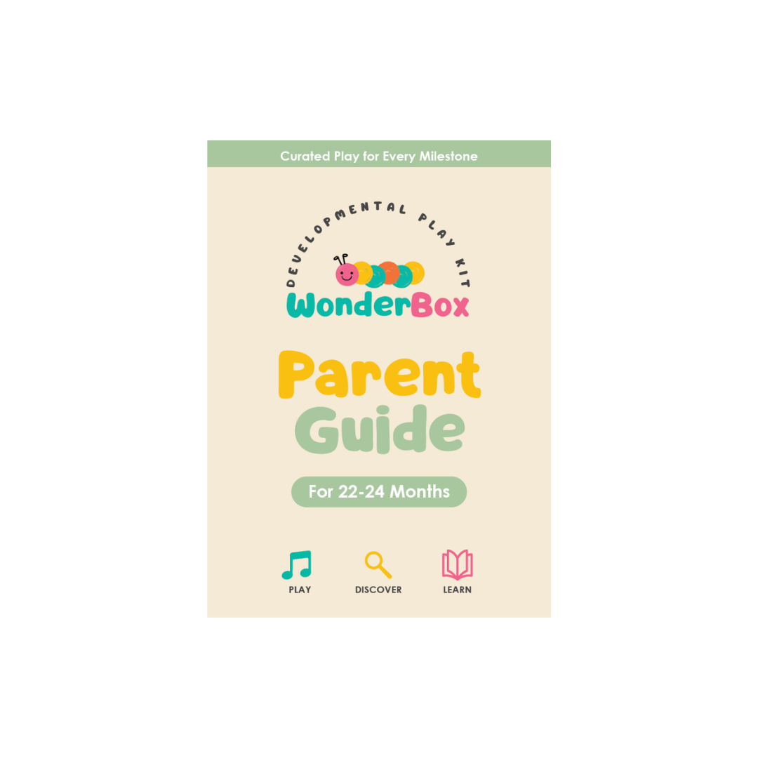 WonderBox Play Kit for 22-24 Months: The Problem Solver