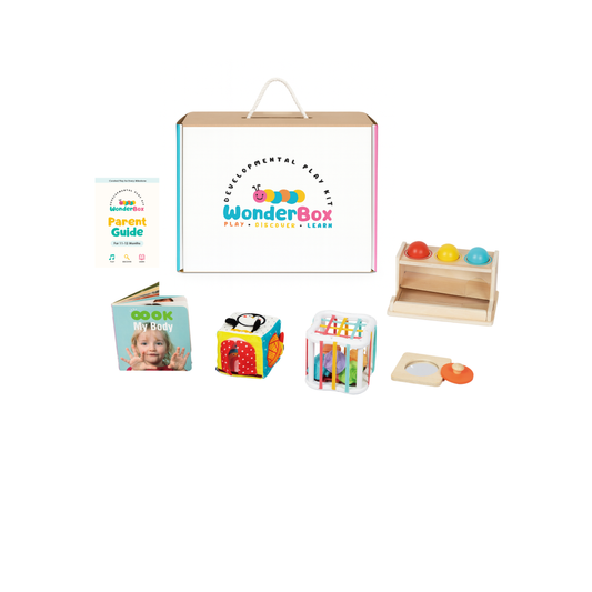 WonderBox Play Kit for 11-12 Months: The Analyst