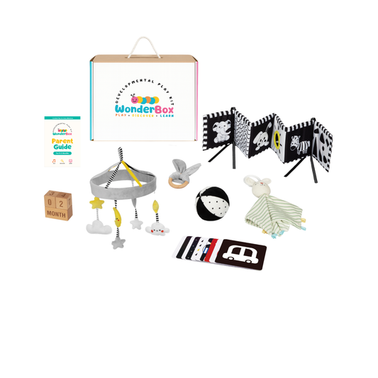 WonderBox Play Kit for 0-2 Months: The Observer