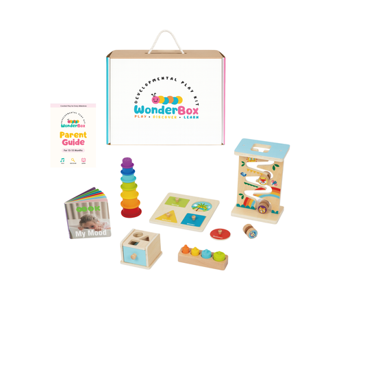 WonderBox Play Kit for 13-15 Months: The Challenger