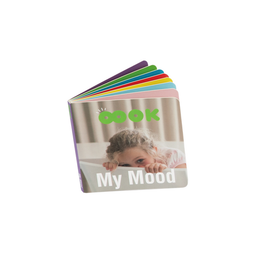 WonderBox Play Kit for 13-15 Months: The Challenger